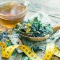 weight loss herbs