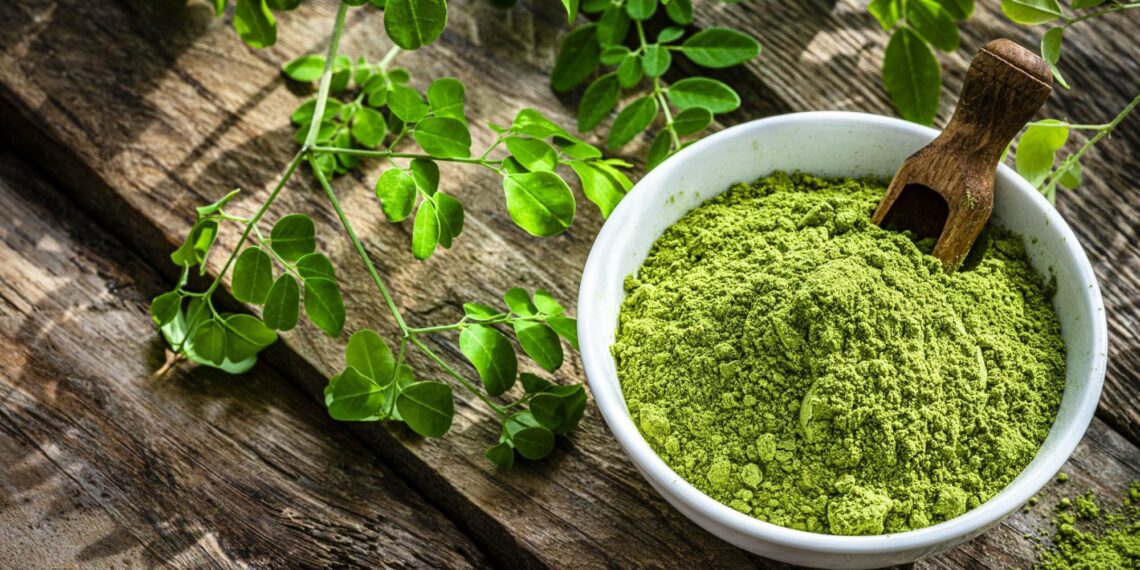 best moringa powder brands in India