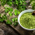 best moringa powder brands in India