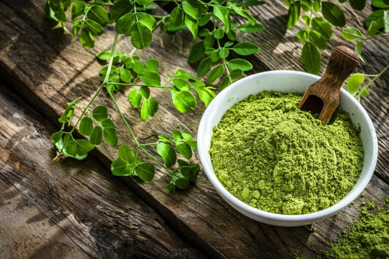 best moringa powder brands in India