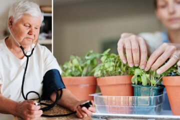 herbs to control blood pressure