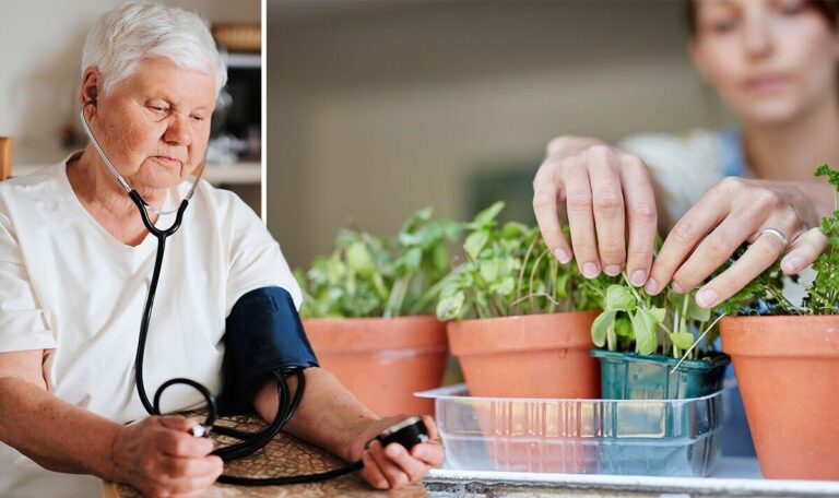 herbs to control blood pressure