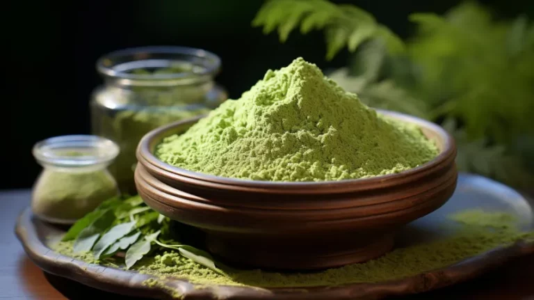 best moringa powder in India