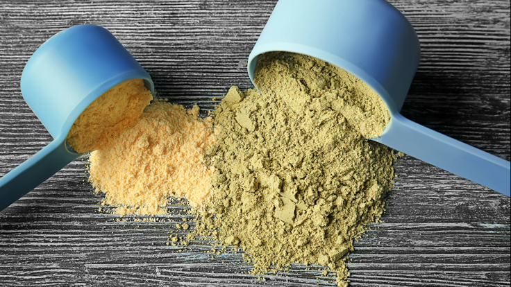 Best vegan protein powders