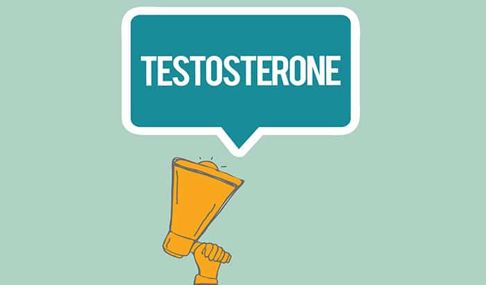 how to increase testosterone levels