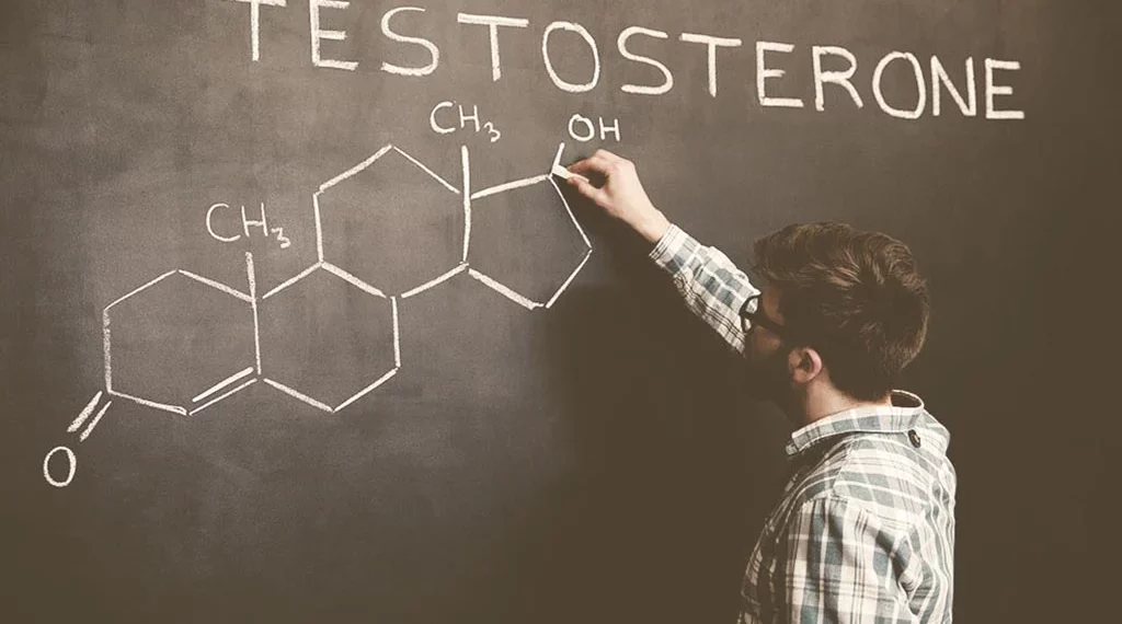 how to increase the testosterone hormone