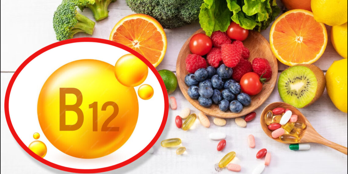 Vitamin b12 Foods