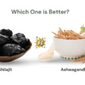 Ashwagandha vs Shilajit