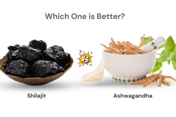 Ashwagandha vs Shilajit