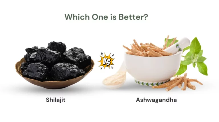 Ashwagandha vs Shilajit