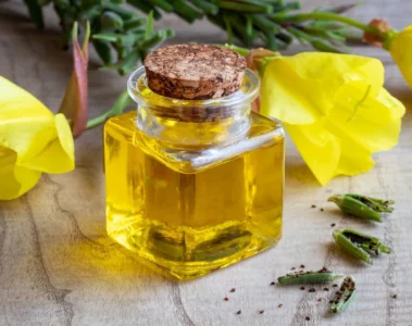 Evening Primrose Oil Benefits